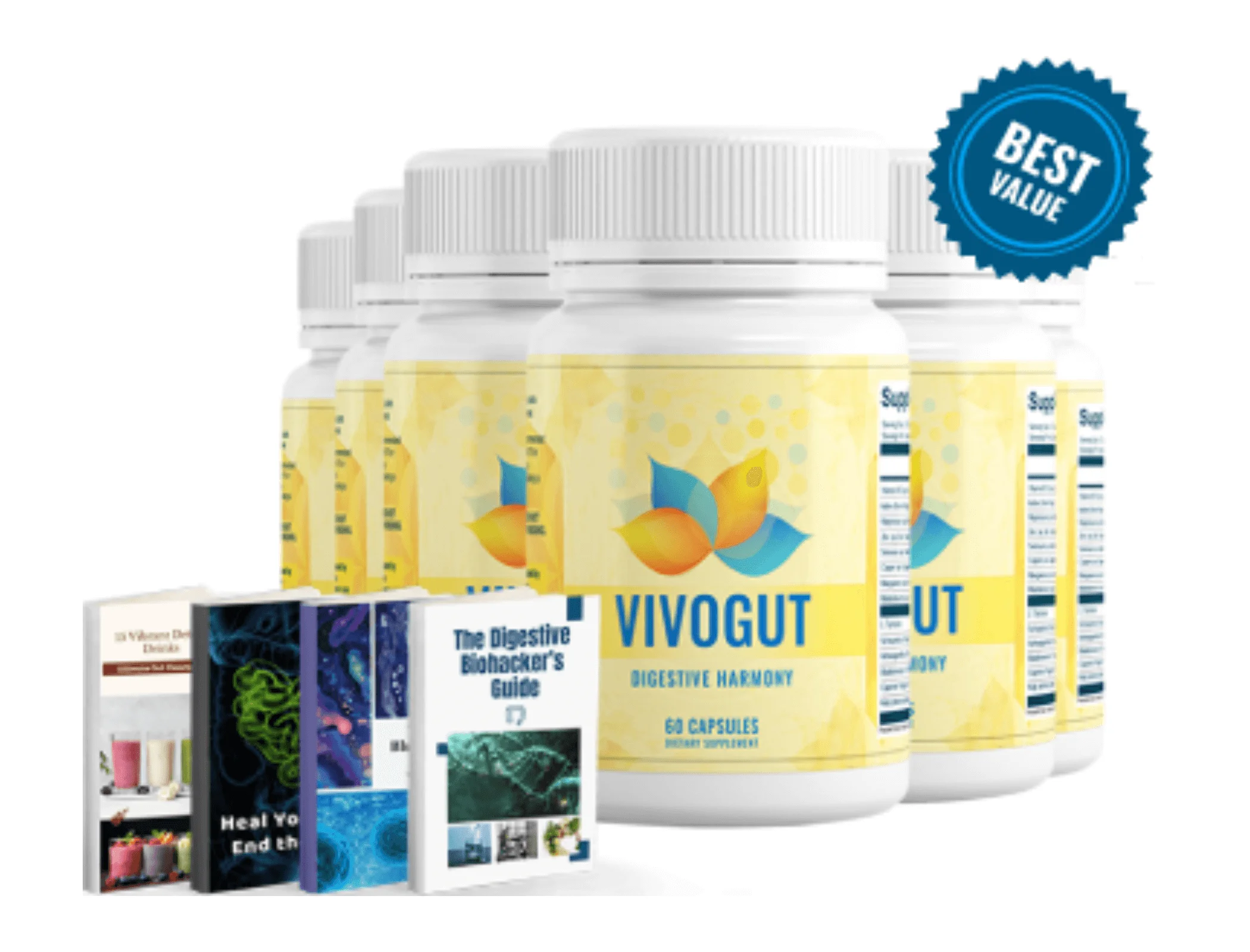 vivogut order
